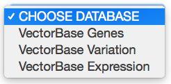 across organisms. In brief, to set up a query you need to apply Filters and declare Attributes, which are the reported data fields.