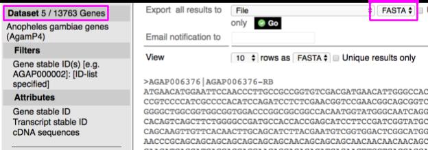 3. Choose Genes as your DataBase and A. gambiae as your Dataset. 4. Click on Filters -> Gene 5. Click on the check box for Input external references ID list.