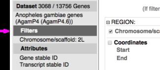 a. Gene content - using Filters - Choose Database: VectorBase Genes - Choose Dataset: Anopheles gambiae genes - Click on Filters - Explore