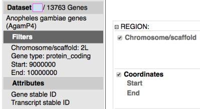 To start a new session click on New Now you are going to filter your results using a list of An. gambiae gene IDs.