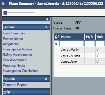 The Generate Report Window The Generate Report window will allow you to print the Stage Summary Report and will replace the CPRS Generate Report window.