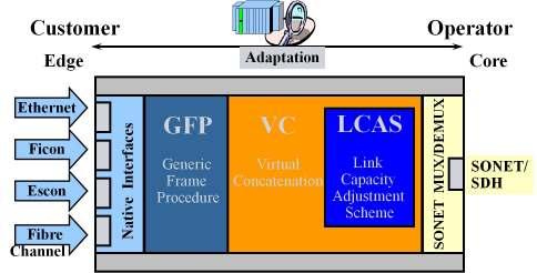 capacity adjustment scheme (LCAS) transforms legacy SDH networks to Next generation SDH networks. GFP adds dynamism to legacy SDH.