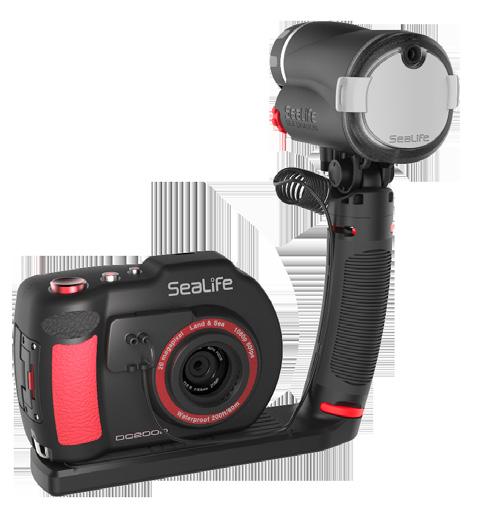 Includes: Flex-Connect Single Tray, Grip, Sea Dragon Flash, Flash Diffuser, and the DC2000 underwater