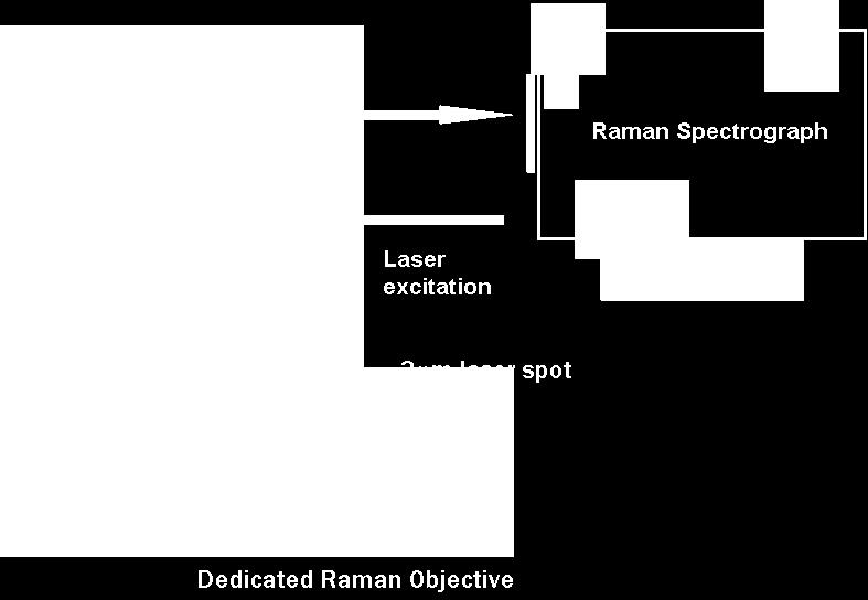 1), Shape attributes: length, aspect ratio, convexity, circularity Raman spectroscopy can then be