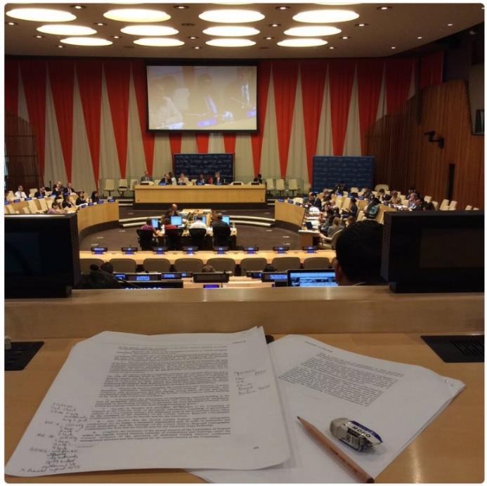 Programme Review of UN-GGIM In July 2016 ECOSOC adopted a draft resolution entitled Strengthening institutional arrangements on geospatial information management With this resolution