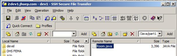 window and Java/part1 in the Remote Name window. 4.