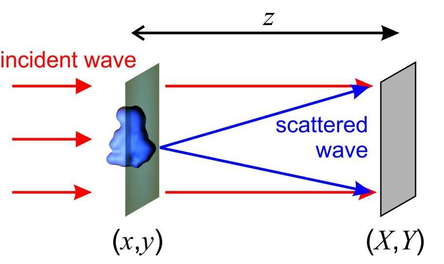 The holograms are simulated in an in-line holography scheme using plane wave, as shown in Fig. 1. Fig. 1. In-line holography scheme realized with plane waves.