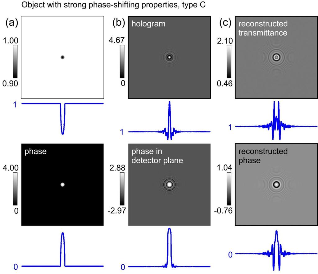 Fig. 4. Object with strong phase-shifting properties, type C. (a) Distributions of transmittance (top) and phase (bottom) of the object.
