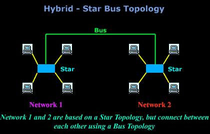 Network Topology: Tree Энэ топологи нь өөр хоорондоо Bus схемээр холбогдсон бүлэг Star схемээс тогтоно. Ө.х. Bus болон Star топологийн гибрид (нэгдэл) юм.