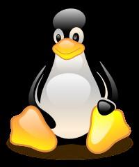 Software An open source Linux 2.6 runs on PPC 405.