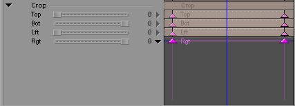 152 Opening Keyframe Graphs Parameters with keyframe graphs appear in the Effect Editor with a triangular opener at the right side of the panel.