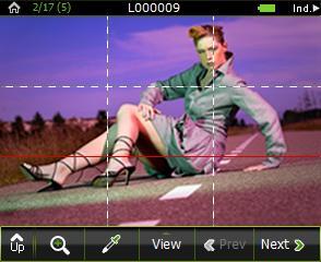 Checking Composition Using the Grid Place a grid on your shot as an aid for