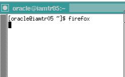 10. Veryfying Consoles 1. Start browser on VNC server by typing firefox 2.
