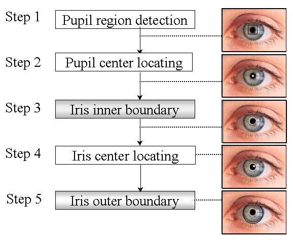 420 Y. Park et al. 3.3 The Proposed Fast Circular Edge Detector This method consists of five steps to segment the iris region as shown in Fig 4.