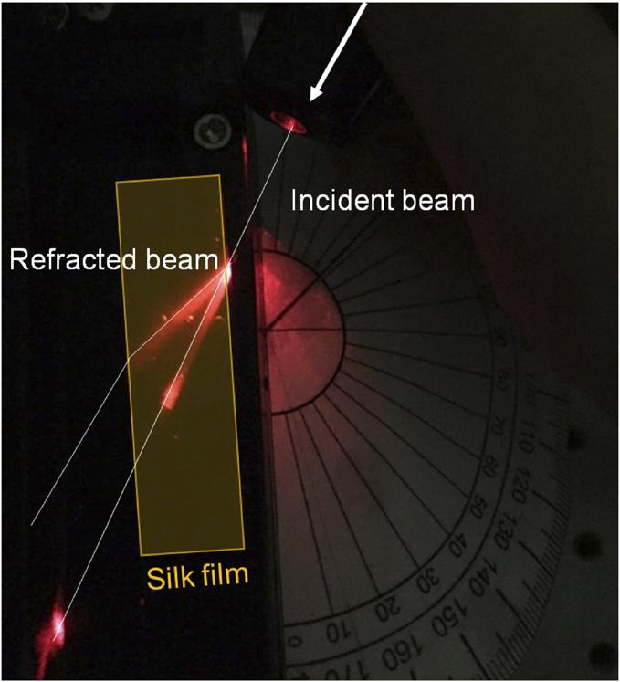 Fig. S4. Photograph showing a deflection of a laser beam at the silk air interface.