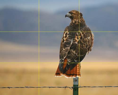 The Rule of Thirds Used Everywhere in the Visual Arts Painting, Photography, Movie Production.