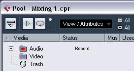 Changing the Pool Record folder The Pool Record folder All audio clips that you record in the project will end up in the Pool Record folder.