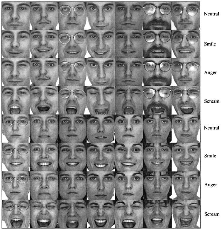 EXPERIMENTAL RESULTS A prototype facial expression recognition system for still images using the proposed techniques was implemented (Fig. 4).