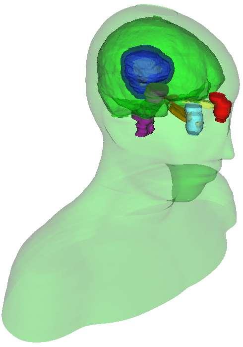 Segmentation Head and neck RT phantom case Also known as contouring Delineates structures of interest Manual contouring: Slice by slice Automatic / semi-automatic Omnipresent in medical imaging