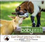 GOOD VALUE Baby Farm Animals Spiral