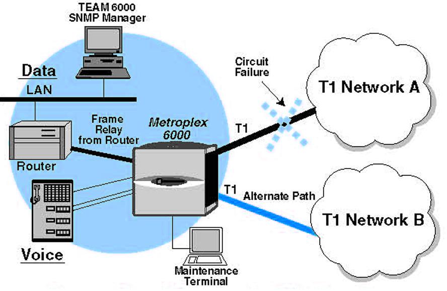 Traditional, Telnet or SNMP Management Front panel LED indicators on all Metroplex 6000 basecards provide key functions for monitoring network and channel interfaces.
