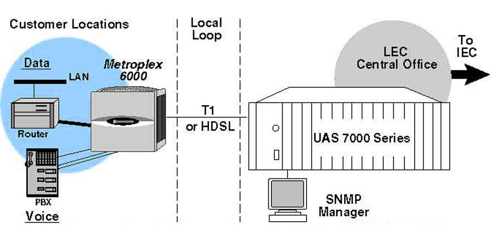 The Metroplex 6000 can also be optionally equipped for Telnet management using the DIAL interface, a PPP link into the 6000's SNMP port, or directly over Ethernet via the SNMP interface.
