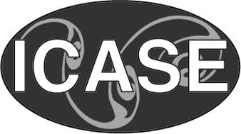 NASA/CR-1999-209340 ICASE Interim Report No.