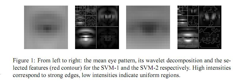 Here E is the mean eye pattern, U is a uniform pattern (with all pixels set to the mean luminance of E) and E w is the reconstruction obtained by retaining the set w of the wavelet.
