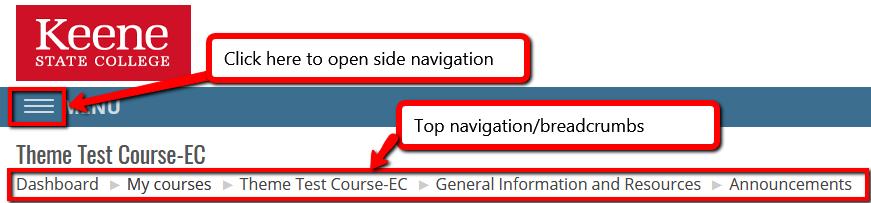 This image shows the top navigation for your course.