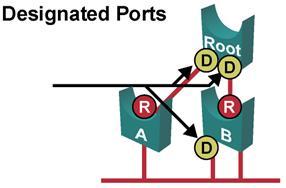Designated Port (802.