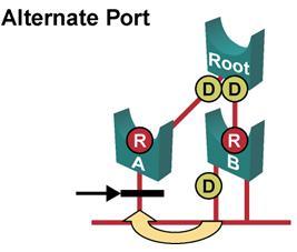 Alternate Port (802.1D Blocking Port) A port with an alternate path the root.