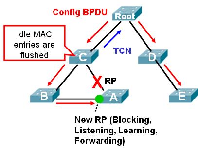 RSTP Topology Change Notifications 802.1D 802.1D 802.1D Switch detects a state change (up or down), it sends the Root Bridge a TCN BPDU.