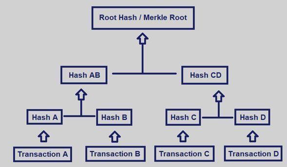 Merkle trees (continued) The Merkle root is simply the root (top) node of a Merkle tree, meaning it represents a hash output of the combined hashes of the left and right sub-trees.
