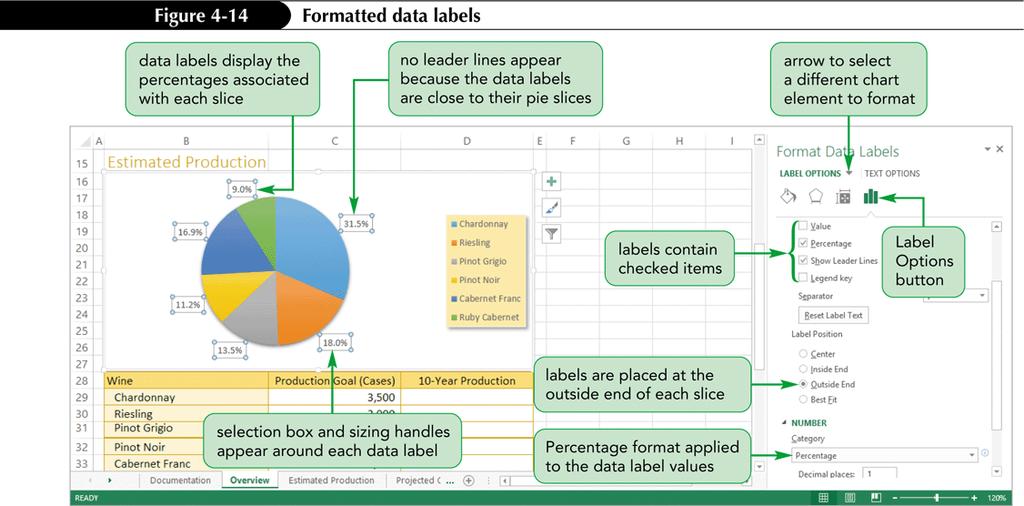 Formatting Pie Chart Data Labels New