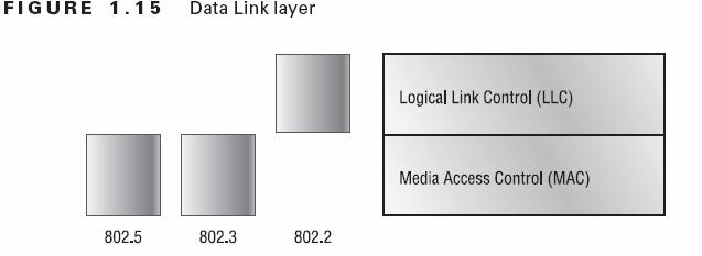 The Data Link Layer The Data Link layer provides the physical transmission of the data and handles error notification, network topology, and flow control.