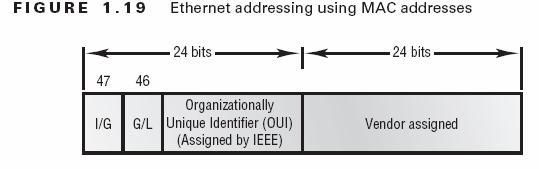 (6-byte) address written in a hexadecimal format. Figure 1.19 shows the 48-bit MAC addresses and how the bits are divided. FIGURE 1.