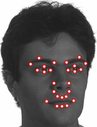 and pose. The hierarchical model implicitly captures the lower level shape variations of facial components using the mixture model.