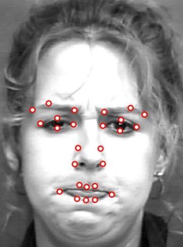 For example, by analyzing the face, we can identify human facial expressions [8], detect the fatigue state of human, estimate the human head pose [19], and so on.