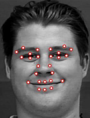 9. Facial feature detection results of sample images from different