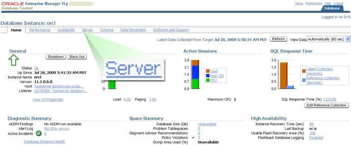 Chapter 3: Oracle 11g 3. On the Oracle Enterprise Manager 11g page that appears, click Server.