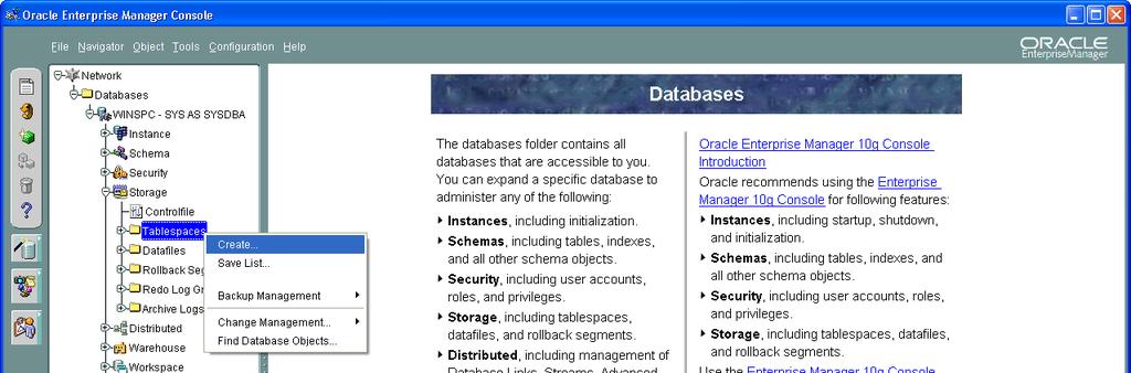 Chapter 5: Oracle 10g 5. In the left pane, beneath the newly added net service name, expand Storage, right-click Tablespaces and, from the shortcut menu, select Create.