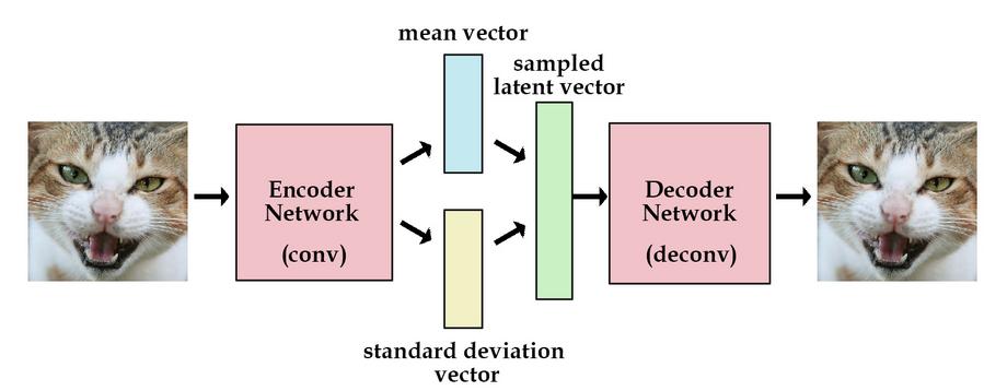 VAE Training Due to random variable between input and output it cannot be trained using backprop Instead, backprop proceeds through parameters of the latent distribution Called