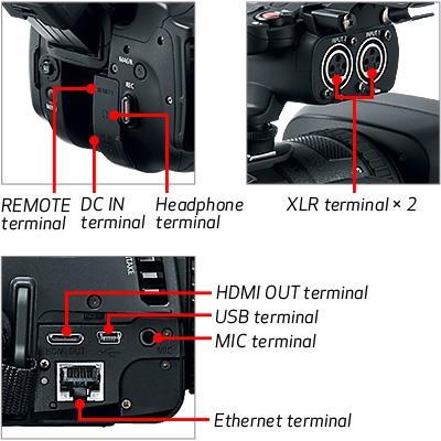 Two XLR Terminals with Independent Audio Level Control Design Two professional XLR microphone connectors are provided on the handle