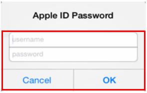 You will be required to enter your Apple ID. Tap Use Existing Apple ID 4.