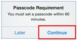 Password Requirements Initial Device Password (Passcode) Setup The Passcode will need to be 6 characters or more with letters/numbers and at least one character.