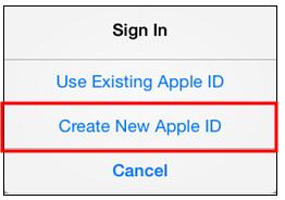 Tap on Create New Apple ID.