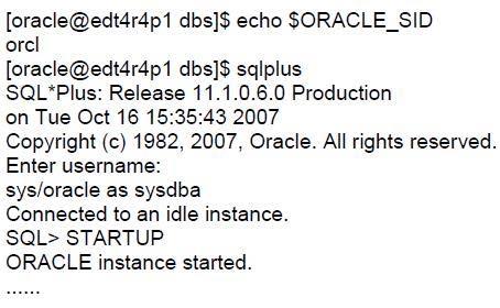 QUESTION: 204 View the Exhibit and note the files available in the $ORACLE_HOME/dbs folder.