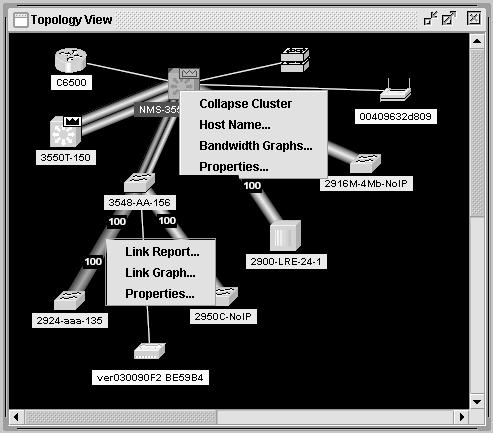 Topology View Chapter 3 Figure 3-8 Expand Cluster View Cluster members of cluster1 and other devices