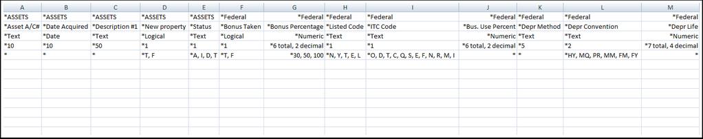 It will contain the word Asset if it is asset data or the name of the method (Federal, Book, AMT, etc.) if it contains method data. Row two - Data field name.