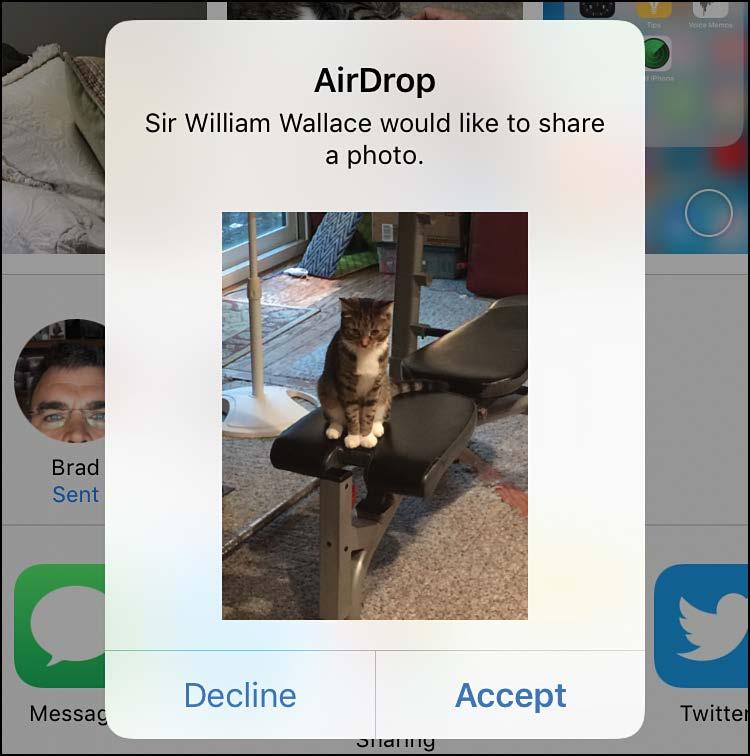 (If you use AirDrop to share content among your own devices such as sending a photo from your iphone to a Mac, it might be accepted automatically.